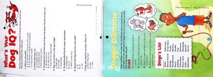 PuzzleMania Brain Teasers