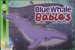Bluewhale babies