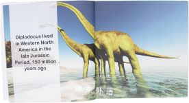 Fun Facts about the Diplodocus