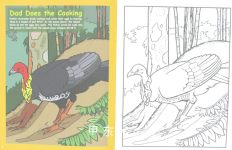 Steve Parish Australian Rainforest Colouring Book