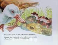 Crunch the Crocodile