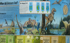 Dinosaurs Lift the Flap Book