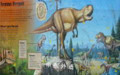 Dinosaurs Lift the Flap Book