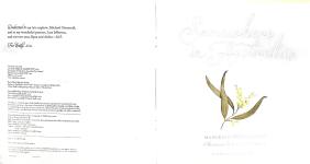 Somewhere in Australia