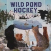 Wild Pond Hockey