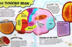 Brilliant Brain