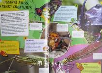 Wild Nature:Strange Bugs