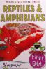 Reptiles & Amphibians (Little Press)