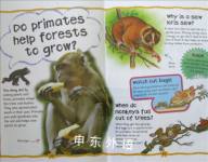 Monkeys & Apes (Little Press)