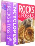 Mini Encyclopedia Rocks & Fossils