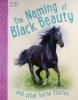 Horse Stories - The Naming of Black Beauty