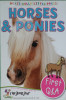 First Q A Horses Ponies