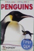 Penguins (Little Press)
