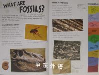 Excavate! Dinosaurs - Paper Toy Palaeontology