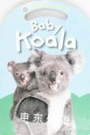 Baby Koala: Baby Touch and  Feel Roger Priddy