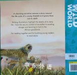 My life in the wild Cheetah