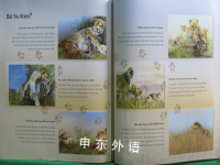 My life in the wild Cheetah