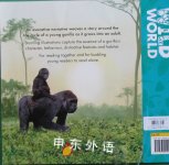 Wild World:My life in the wild gorilla