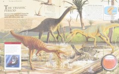 The Age of Dinosaurs Primary Explorers
