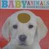 Baby Animals:Touch and Feel