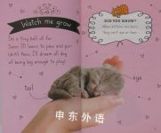Collect-a-Pet Reader: My Cute Kitten