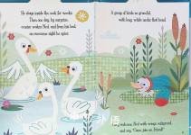 The Ugly Duckling