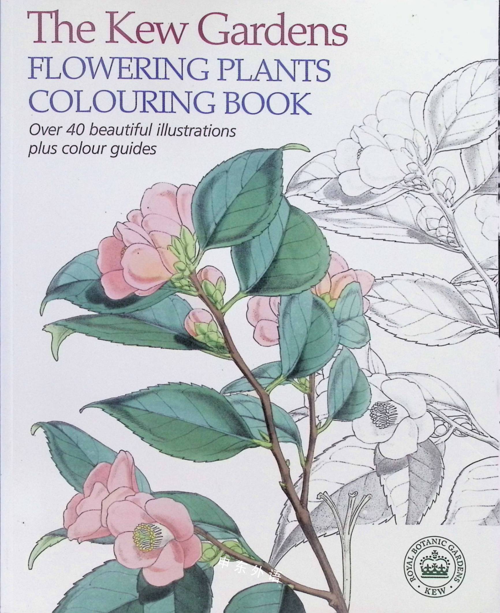 The Kew Gardens Flowering Plants Colouring Book 入迷 迷恋 儿童图书 进口图书 进口书 原版书 绘本书 英文原版图书 儿童纸板书 外语图书 进口儿童书 原版儿童书
