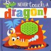 Never Touch a Dragon