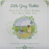  Little Giney Rabeit How Little Grey Rabbit Got Back Her Tail