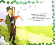 Maureen's Irish Dance on the Stars