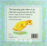 Little Duck Lost