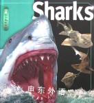 Sharks Beverly Mcmillan