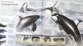 Sharks