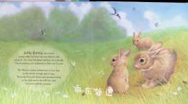 Time to Go Home Little Bunny