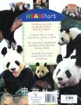 Pandas (Headstart)