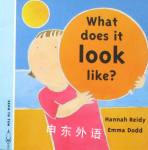 What Does it Look Like? Hannah Reidy