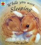 While You Were Sleeping (Orchard Picturebooks) John Butler
