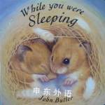 While You Were Sleeping (Little Orchard Board Book) John Butler