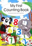 My First Counting Book (My First Learning Books) Hugh Kingsley