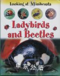 Looking at minibeasts: Ladybirds and beetles Sally Morgan