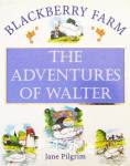The Adventures Of Walter Jane Pilgrim