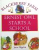 Ernest Owl Starts a School (Blackberry Farm)