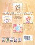 The Human Body