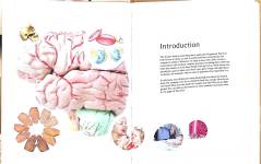 The Human Body