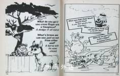 Phonics Library: Silly Stories