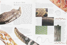 Nature Fact File Snakes