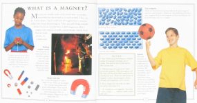 Magnets Fantastic Facts