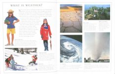Wild Weather All About Series