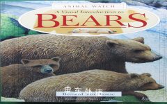 A Visual Introduction to Bears (Animal Watch) Bernard Stonehouse