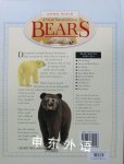 A Visual Introduction to Bears (Animal Watch)